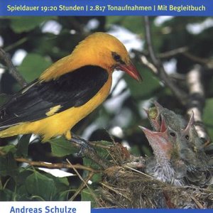 Аватар для Vogelstimmen