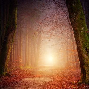 Untravelled - Single