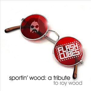 Sportin' Wood: a Tribute to Roy Wood