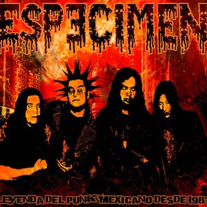 Especimen のアバター