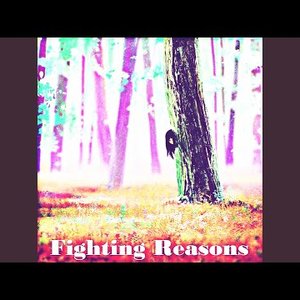 Fighting Reasons