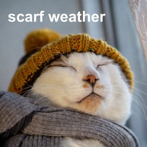 scarf weather