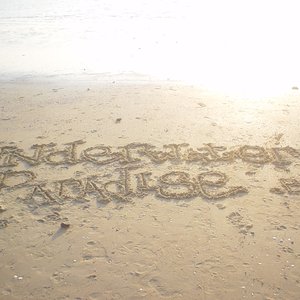 Underwater Paradise 的头像