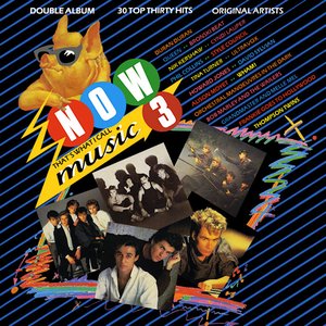 Now That's What I Call Music 3