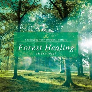 Forest Healing〜stress reset〜
