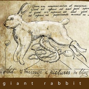 Avatar for Giant Rabbit