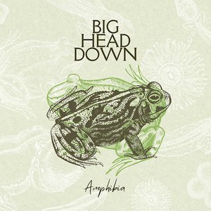 Amphibia