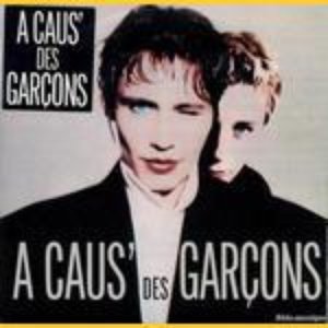 A cause des garçons のアバター