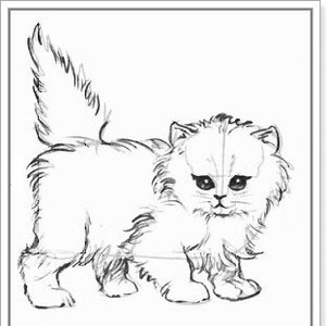 miaow