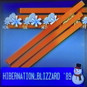 Hibernation_Blizzard '89