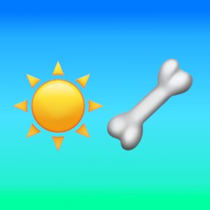 SUMMER BONE