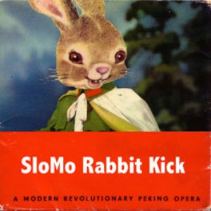 Slomo Rabbit Kick 的头像