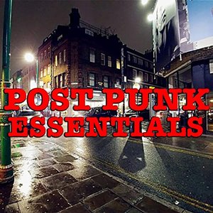 Post Punk Essentials [Explicit]