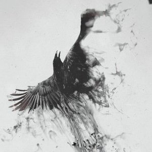 TryToFly 的头像