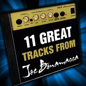 11 Great Tracks From Joe Bonamassa