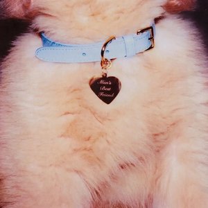 Man's Best Friend (Target Exclusive)