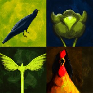 Birds