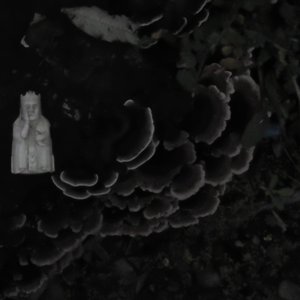 Downstream (Shrouded Recordings)