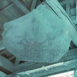Rauch (feat. Wicca Phase Springs Eternal) - Single