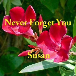 Never Forget You