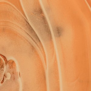 sahara