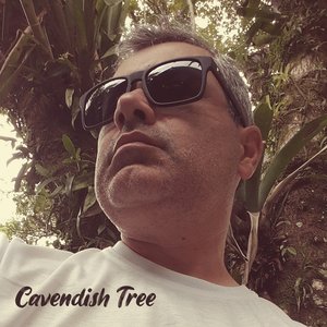 Avatar for Cavendish Tree