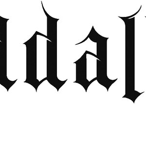 Meddallion 的头像