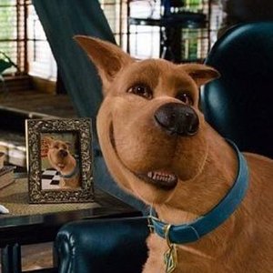 Scooby-Doo (5/10) Movie CLIP 的头像
