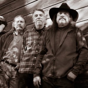 The Daisy Dillman Band 的头像