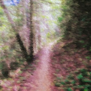 The Bittersweet Trail