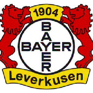 bayer 04 的头像