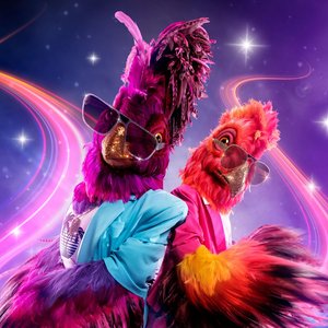 The Masked Singer: Tik & Tok 的头像