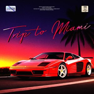 TRIP TO MIAMI
