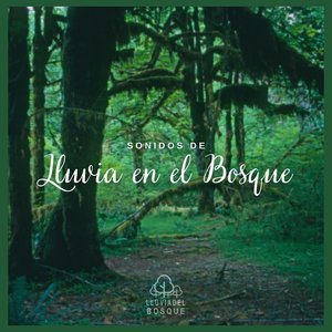 Sonidos de Lluvia en el Bosque