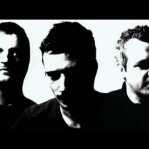 Truby Trio feat Marcus Begg 的头像