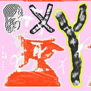 XY - Single