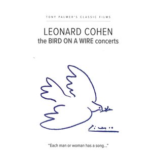 The Bird On A Wire Concerts