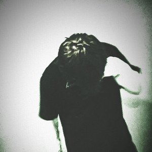 ilyalive 的头像