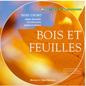 Bois Et Feuilles