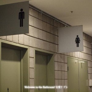 Welcome to the Bathroom! 公衆トイレ