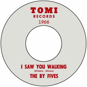 I Saw You Walking