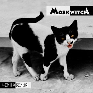 ЧЁРНОБЕЛЫЙ