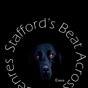 “Stafford's Beat: Across the Genres”的封面