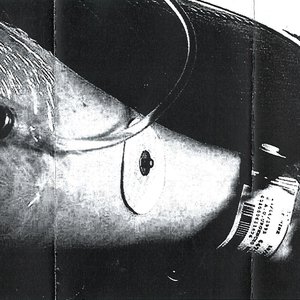 Absurditas in Nihilum