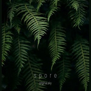 Spore