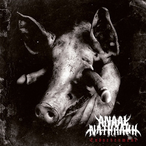 Artwork for endarkenment