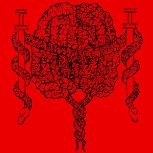 Cerebral Quasaric Lacerations