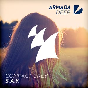 S.A.Y. - Single