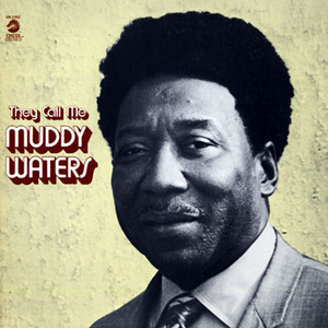 Muddy Waters - Mopper