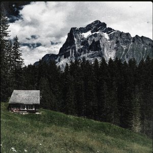 The Cottage